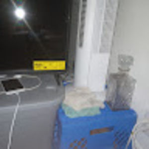 Meet your Posher, Willard